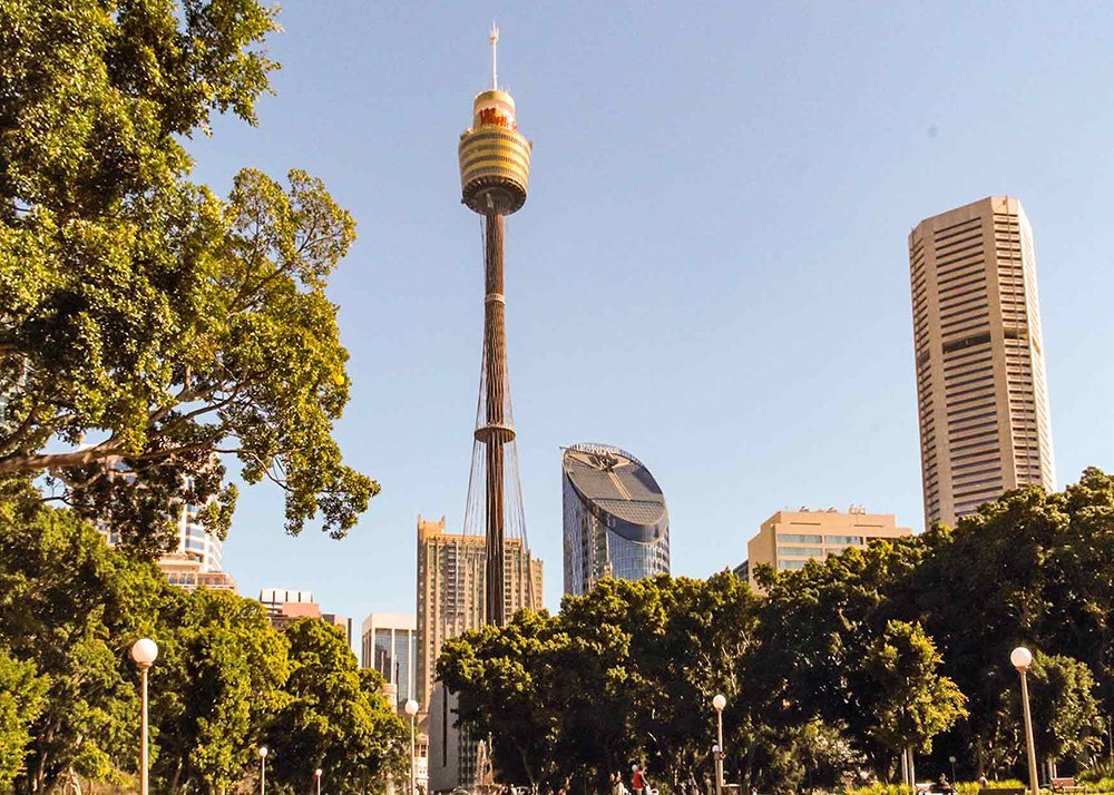 Sydney Tower Eye rising above the surrounding buildings and trees on a sunny day, with clear blue sky.
