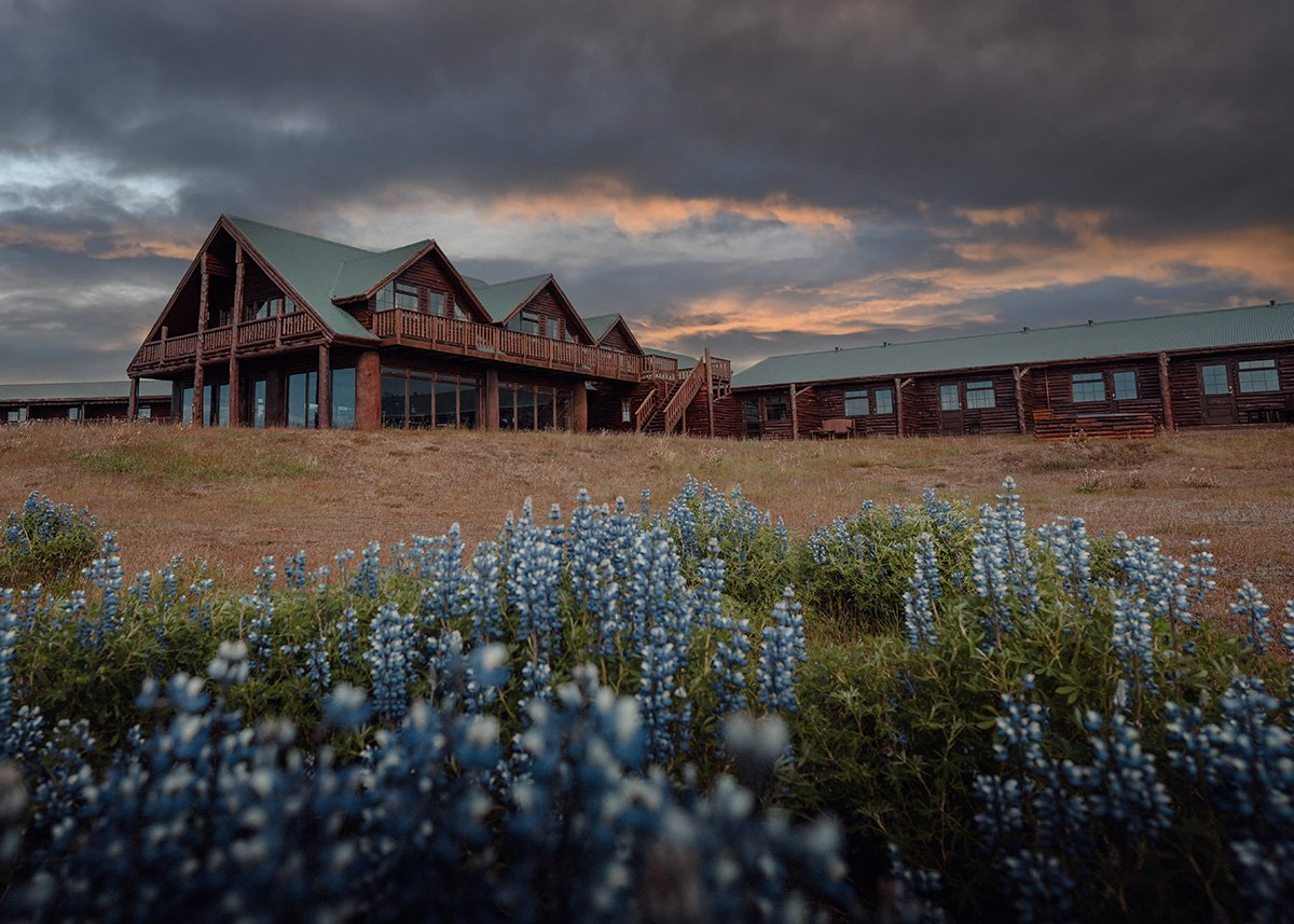 Hotel Rangá in South Iceland, a log-style lodge with a green roof, sits on a field dotted with blooming lupines under a dramatic sunset sky, creating a warm and cozy vibe ideal for aurora viewing. photo: @christiantrustrup