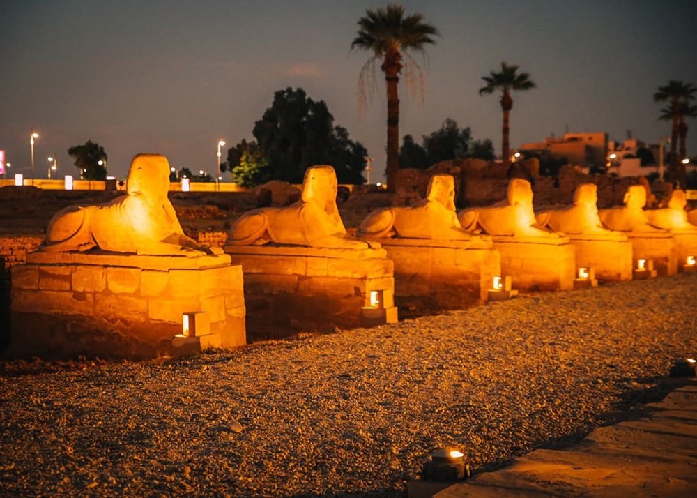 Close-up view of illuminated sphinx statues at night, aligned in a row with palm trees and city lights in the background.