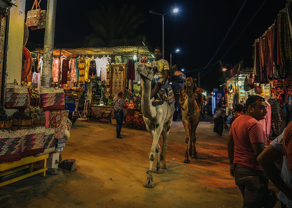 Nubian Village at night with tourist riding the backs of angry and sad looking camels having to walk through the crowds.