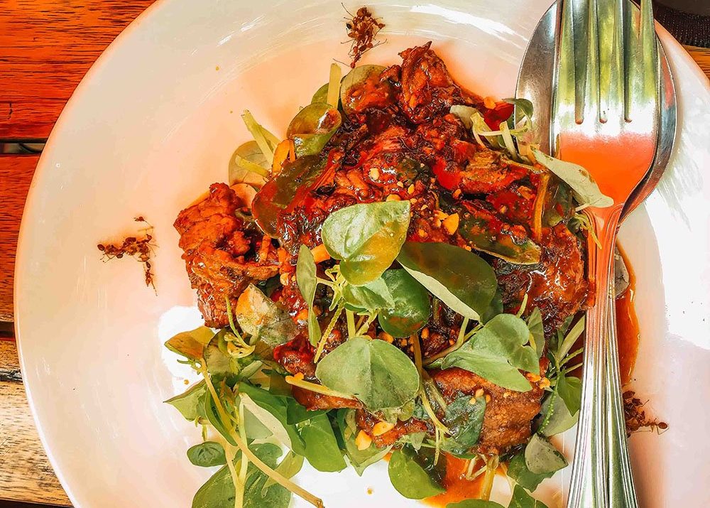 A plate of delicious Cambodian beef lok lak served with fresh greens on a sunny day in Phnom Penh, Cambodia. The dish is garnished with herbs and baked ants and accompanied by a fork and spoon.