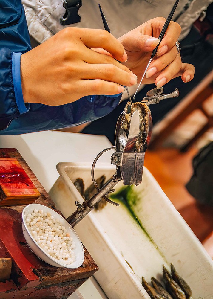 Hands extracting pearls from oysters: Close-up of hands carefully extracting pearls from oysters using tools, highlighting the delicate process of pearl harvesting.