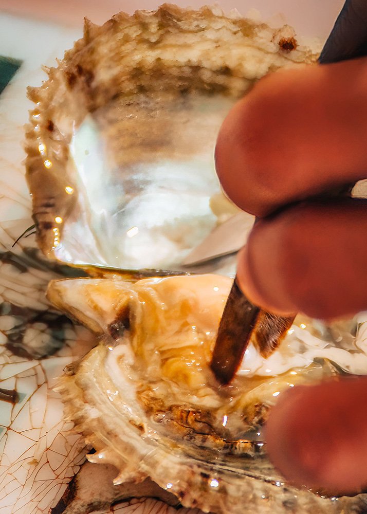 Close-up of oyster being opened for pearls: A close-up of hands carefully opening an oyster to extract pearls, showing the detailed and delicate process.