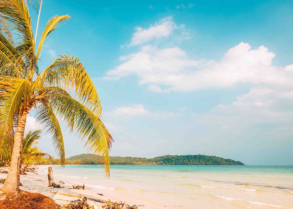 A serene beach on Koh Rong, Cambodia, with clear blue skies, turquoise waters, and palm trees lining the white sandy shore. The idyllic setting invites relaxation and enjoyment.