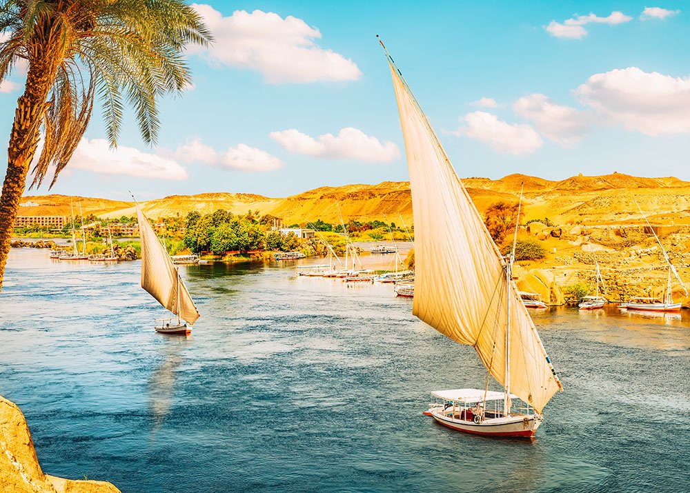 Traditional sailboats (feluccas) on the Nile River near Aswan, surrounded by palm trees and desert hills.