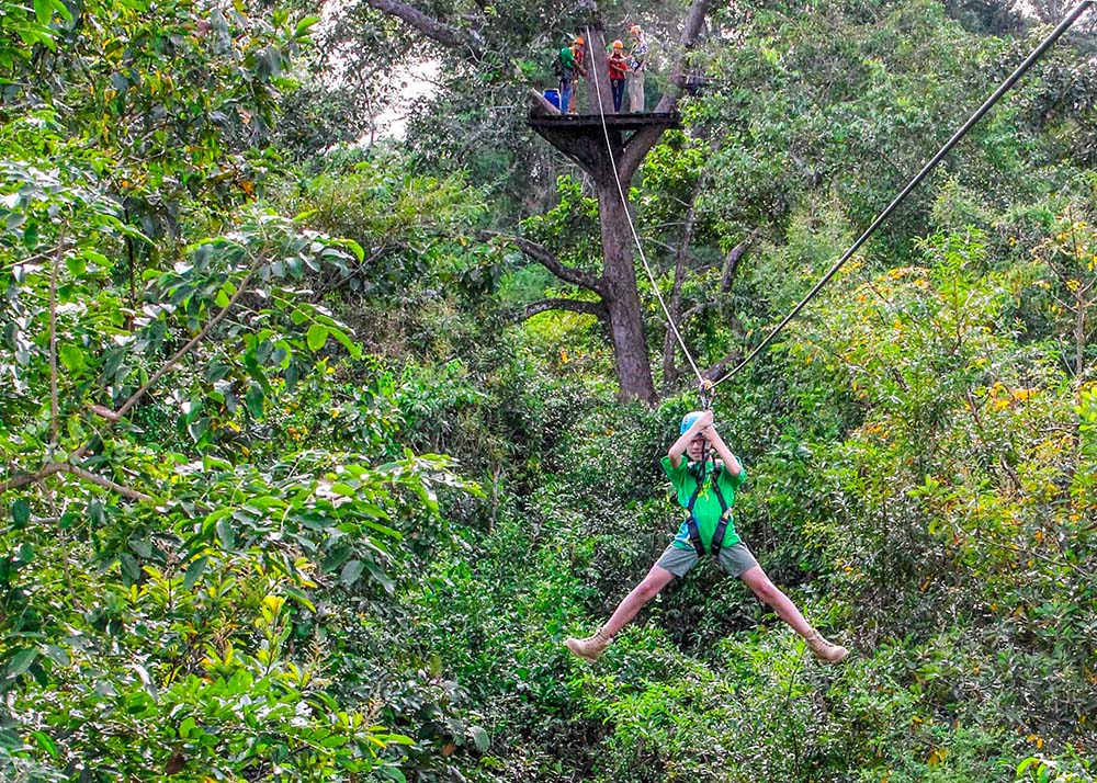 A young boy zip-lines through dense green foliage, wearing a green shirt and a safety harness.