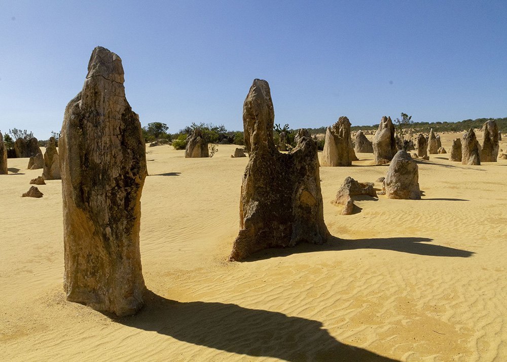 The Pinnacles Desert featuring tall limestone formations casting long shadows on the yellow sandy ground under a clear blue sky.
