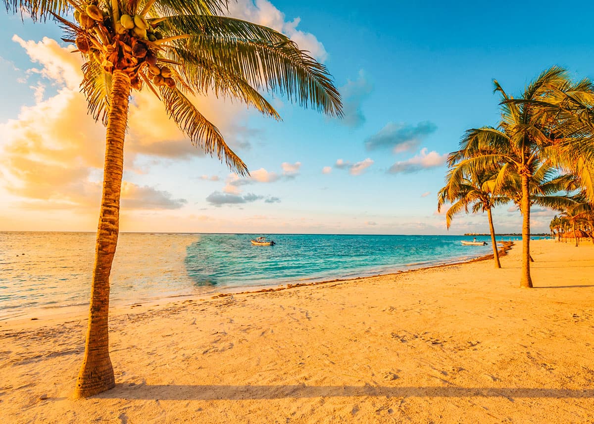 A golden sandy beach in Akumal, Mexico, lined with palm trees under a vibrant sunset sky. The calm blue ocean and a small boat in the distance complete the tranquil scene.