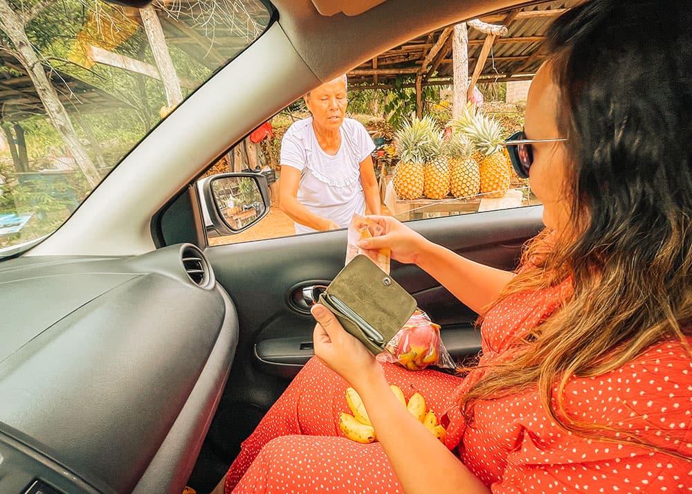 A woman purchases fresh fruit from a roadside vendor in Mexico, with pineapples and other tropical fruits displayed. The interaction takes place through the window of the car of the customer, adding a touch of local culture to the journey.