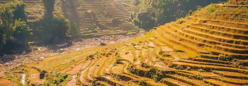 The gorgeous rice fields of Sapa in Northern Vietnam in winter time: Beautiful rice terraces in Sapa covered in winter hues.