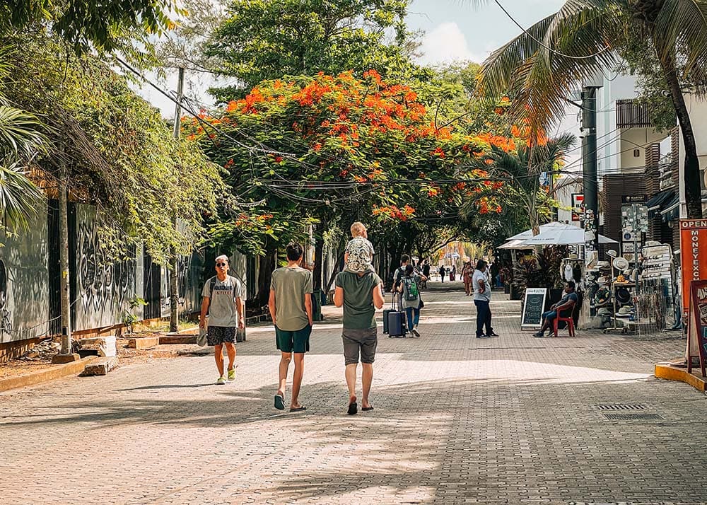 A bustling street in Playa Del Carmen, Mexico, with tourists and locals strolling along shops and cafes. The tropical weather is warm, and the vibrant street scene is lively with colorful storefronts and lush greenery.