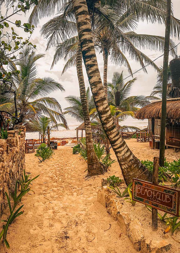A beach club in Tulum with palm trees all around and the see visible in the background.