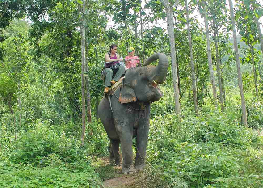 An asian elephant has a heavy 2 seater on its back attached to it with chains. On his back a mother and son. The mother is taking a banana out of a plastic back to feed the elephant while her son looks on with a smile on his face.