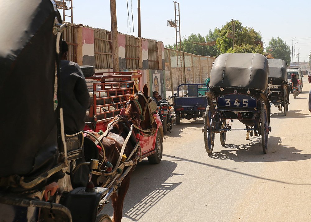 3 black horse carriages on a road in Edfu. Each has one horse in front of it and a driver in the front. There's room for 2 people in the carriages behind the driver's seat.