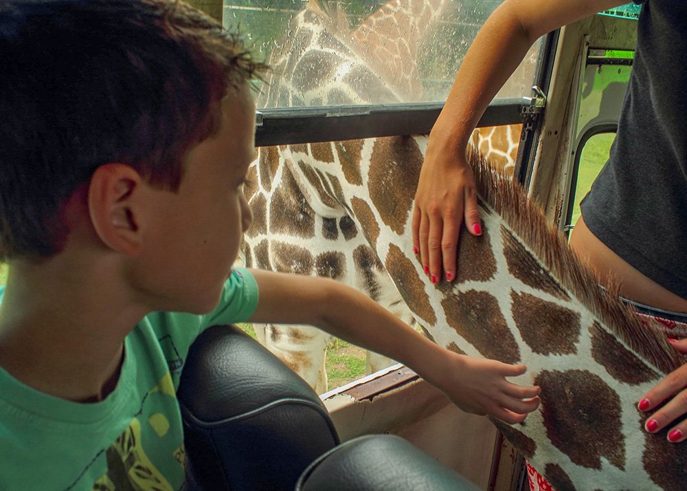 A giraffe sticks his head through the window of a bus on a safari tour in Thailand eating carrots from someone's hand. A woman has her arms gently around its neck and a young boy reaches out to the neck for a little pet.