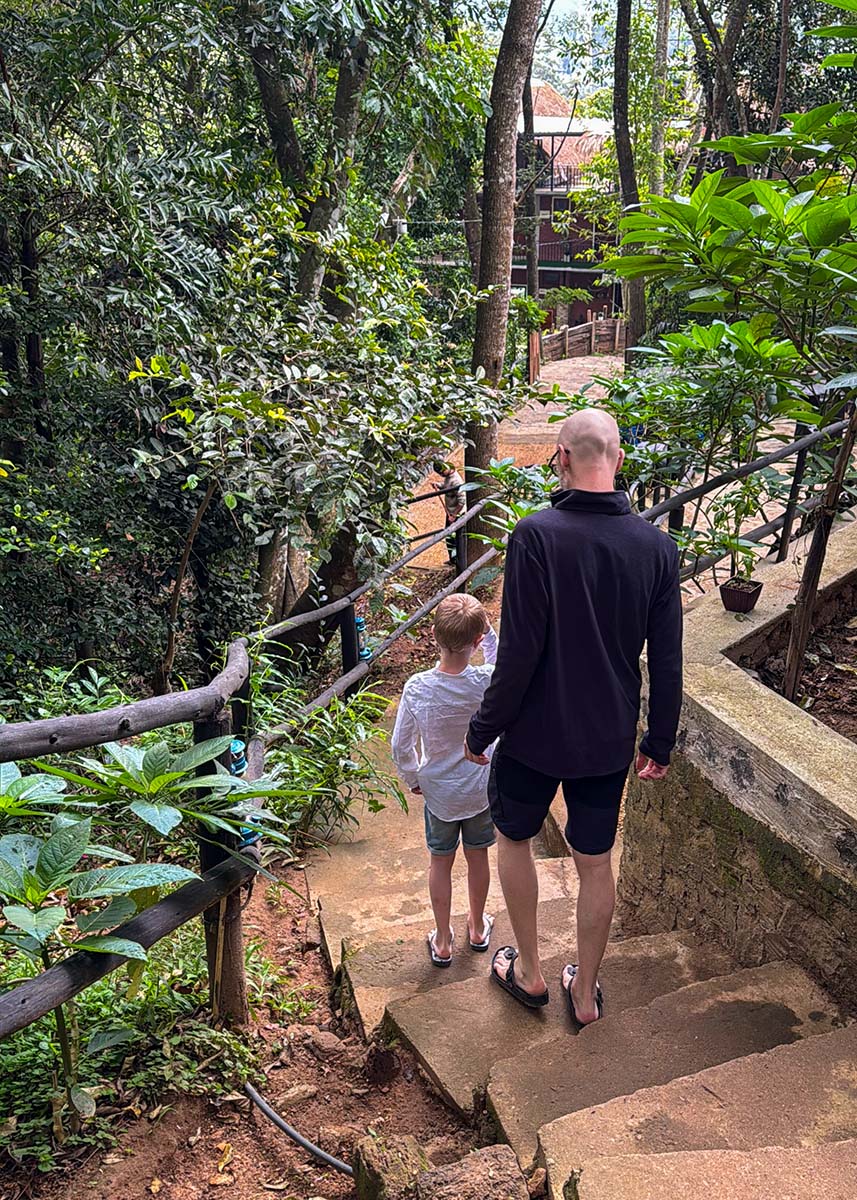 Parent and child walking down stone steps through lush jungle at Gaga Bees Ella hotel. Wooden railings and dense greenery line the path. The atmosphere is shaded and humid.