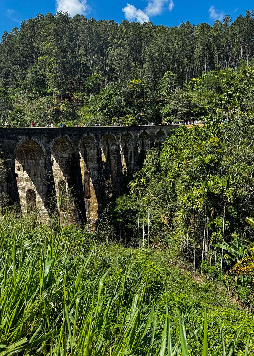 View of Nine Arches Bridge in Ella, Sri Lanka, framed by tall grass and tropical trees. Visitors walk along the bridge under bright sunshine. The surrounding valley is lush and green.