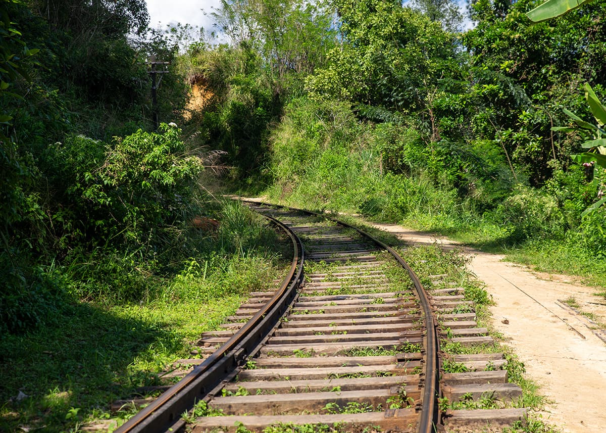 Curving railway tracks through lush jungle near Ella, Sri Lanka. No people are visible, highlighting the peaceful, green surroundings. The weather is bright and sunny.
