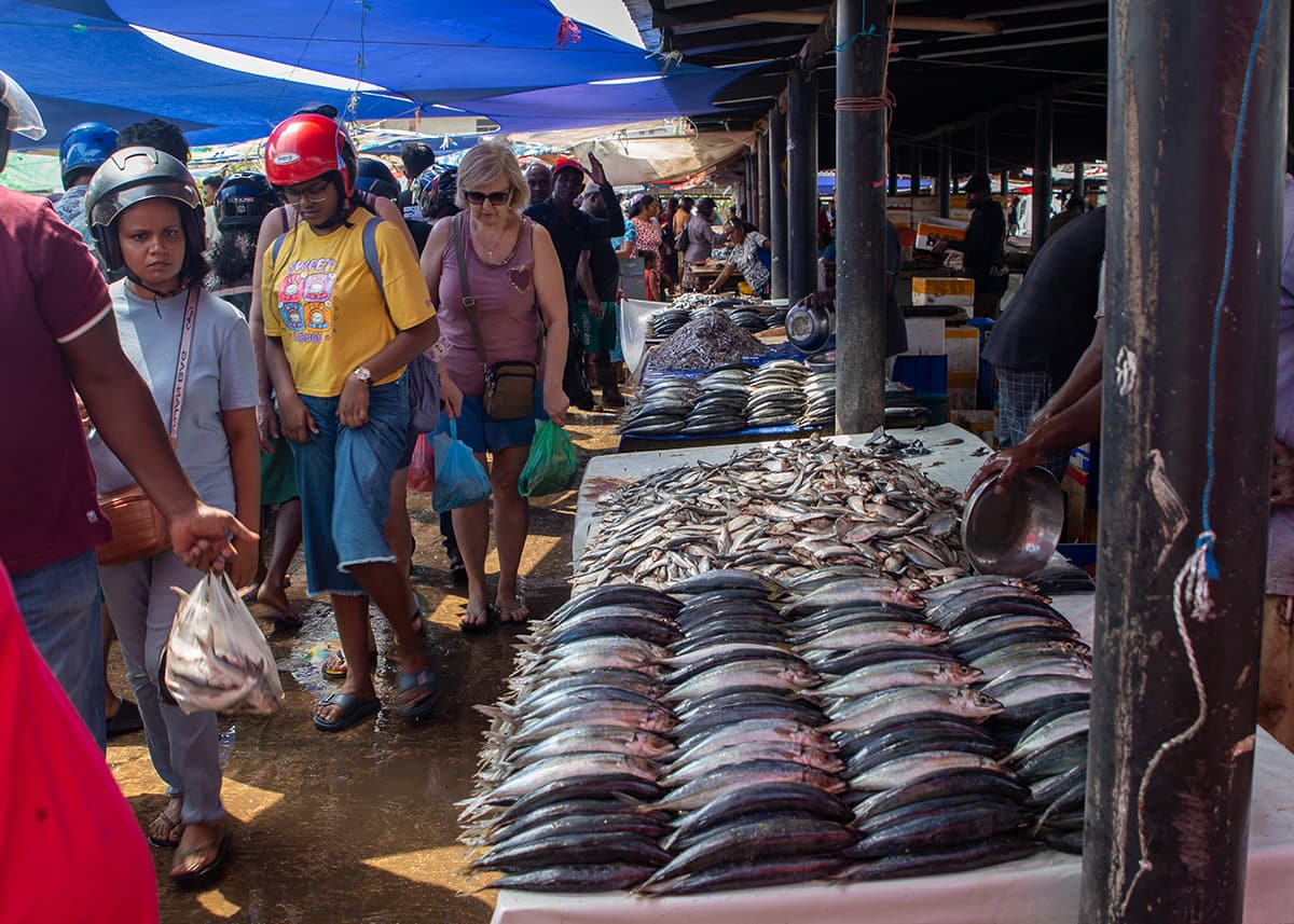Busy fish market in Negombo, Sri Lanka, with locals and tourists walking past fresh seafood stalls. Vendors display rows of fish on wet tables under blue tarps. The scene is lively and humid near the coast.