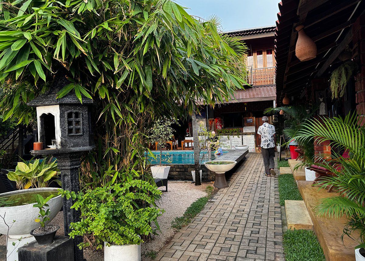 Tropical courtyard with plants, pool, and seating area at a guesthouse in Negombo.