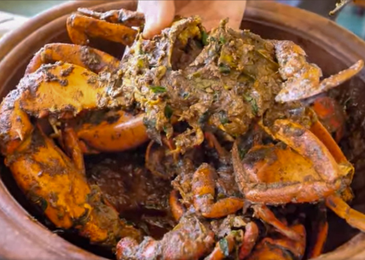 A big lagoon crab ready to eat in the hands of the person ready to enjoy it.