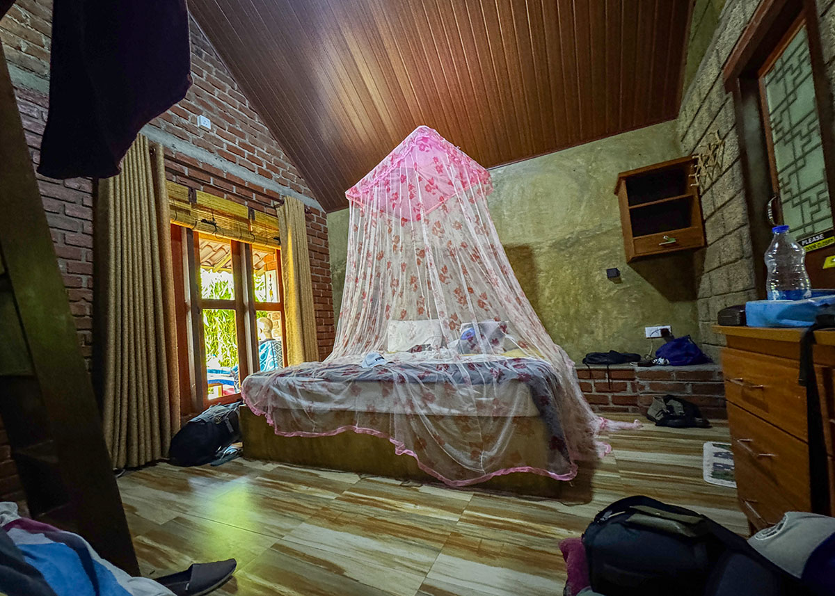 Cozy room with a bed under a pink mosquito net in a guesthouse in Negombo.