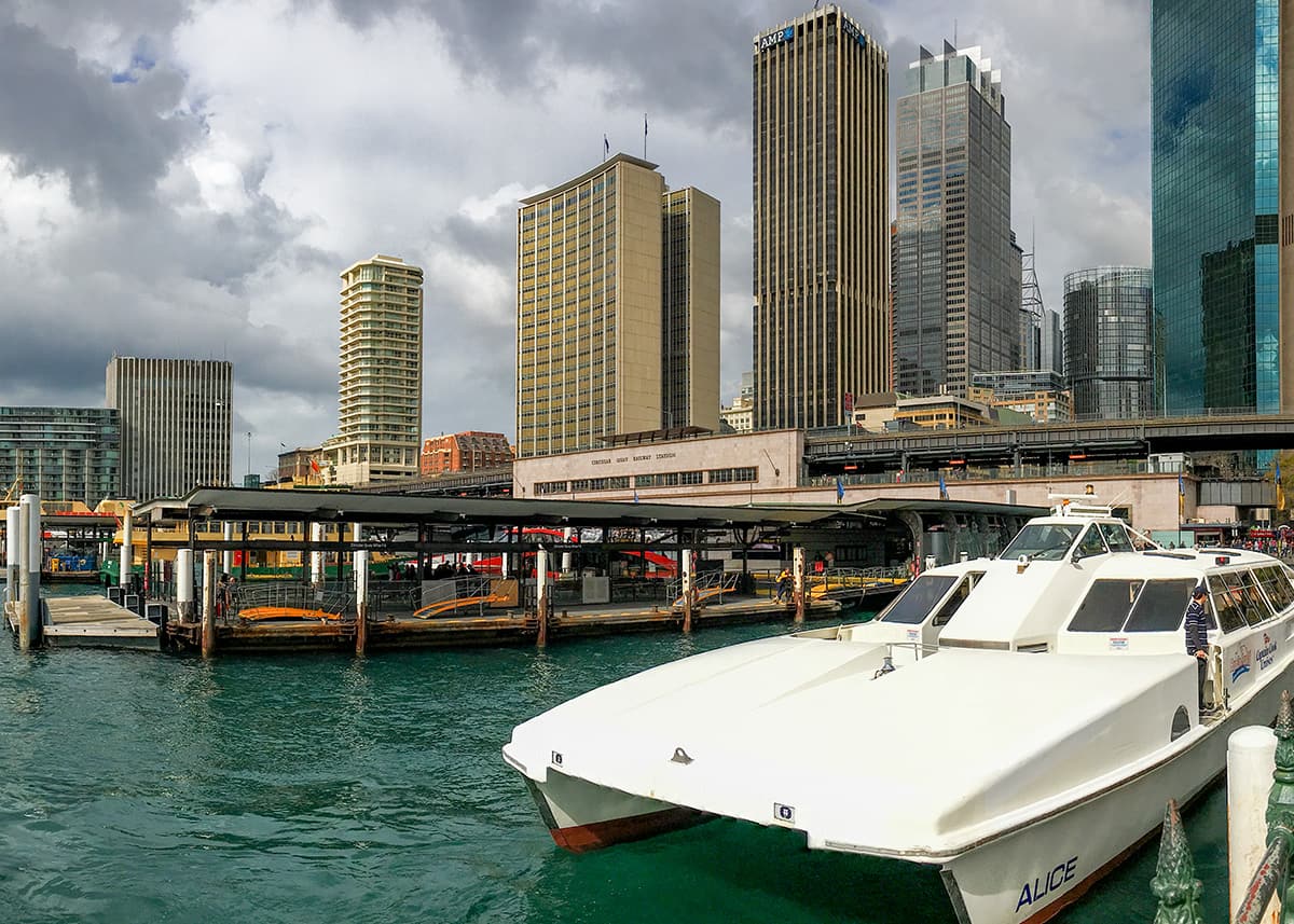 White catamaran docked at Circular Quay with the Sydney skyline rising behind it on an overcast day. Tall office buildings and busy ferry terminals line the waterfront beside the green harbor water.