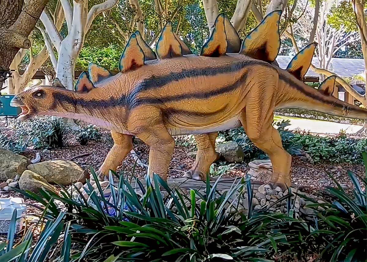 Stegosaurus dinosaur model displayed in Hunter Valley Gardens. The large brown dinosaur statue stands among rocks and tropical plants on a sunny day.