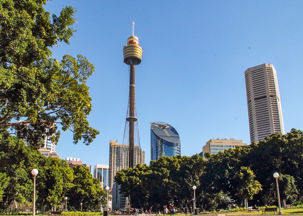 Sydney Tower Eye rising above Hyde Park and the Sydney skyline on a clear blue sky day. Trees and green lawns fill the foreground of the busy city center.