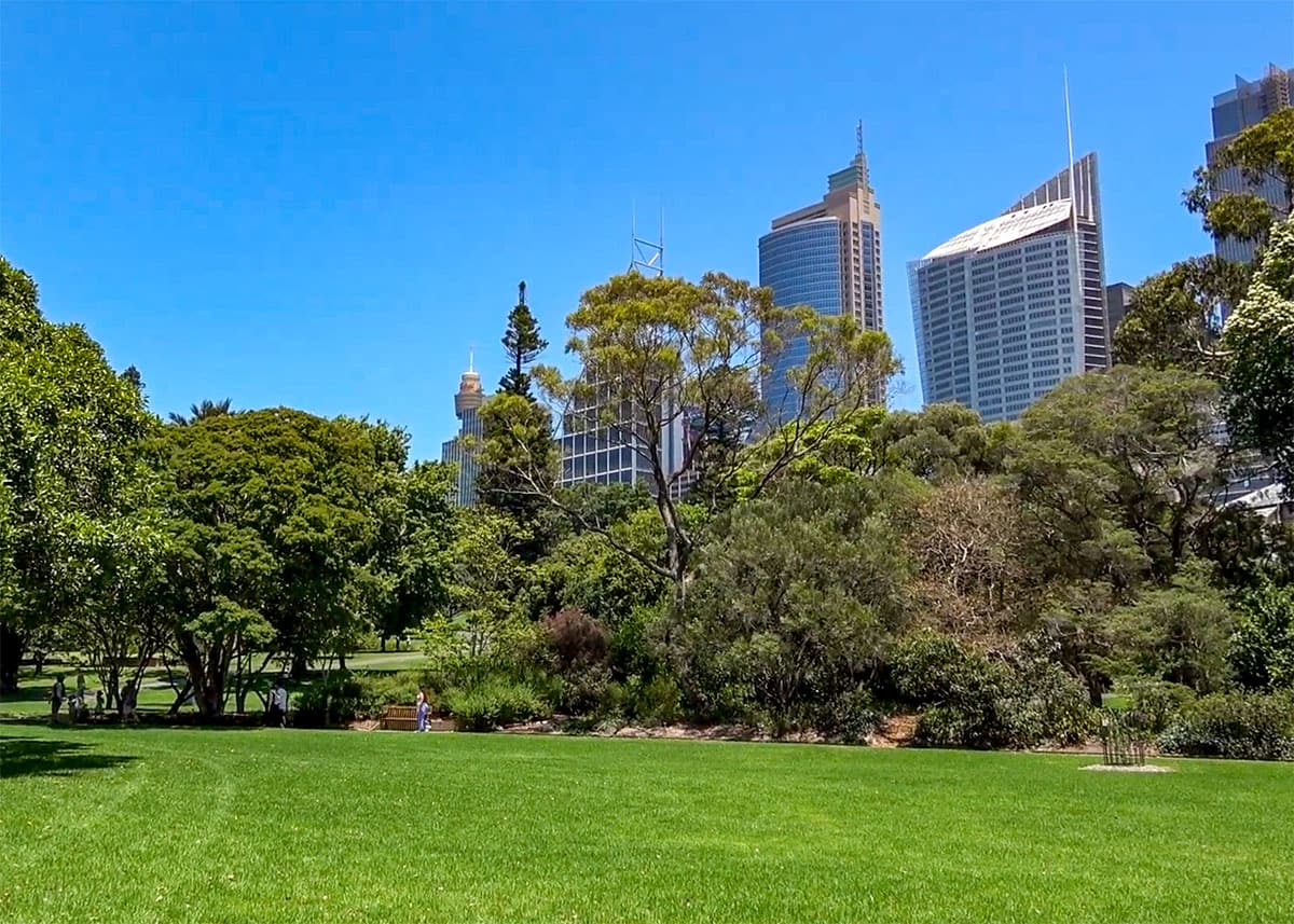 Green lawns and gardens of the Royal Botanic Garden Sydney with the city skyline rising behind them on a bright sunny day. Visitors stroll through the park surrounded by trees and skyscrapers.