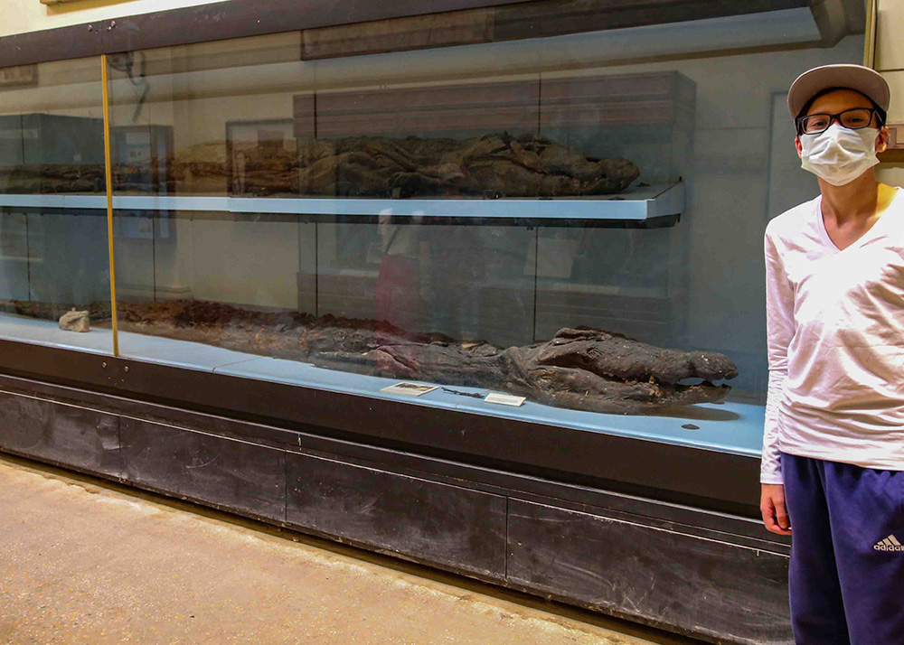 mummified crocs in a glass cabinet in the Egyptian Museum in Cairo. A boy poses next to the 2 crocodiles